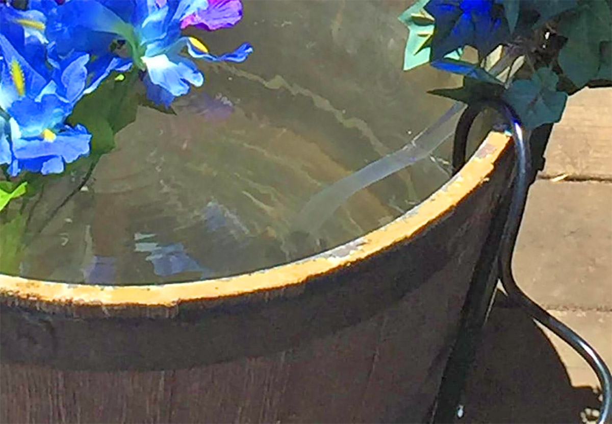 Wine Bottle Fountain - DIY Backyard wine bottler and wine cup water fountain