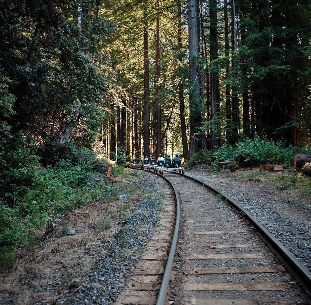 Rail Bikes Let You Pedal Through The Redwood Forest In California - Electric Railroad bicycles tour redwoods
