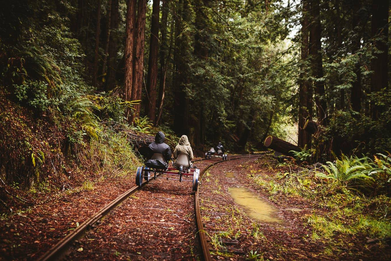 Rail Bikes Let You Pedal Through The Redwood Forest In California - Electric Railroad bicycles tour redwoods