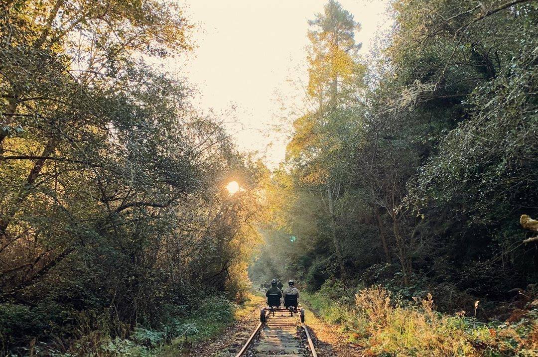 Rail Bikes Let You Pedal Through The Redwood Forest In California - Electric Railroad bicycles tour redwoods