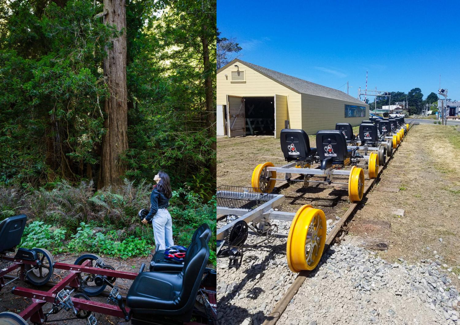 Rail Bikes Let You Pedal Through The Redwood Forest In California - Electric Railroad bicycles tour redwoods