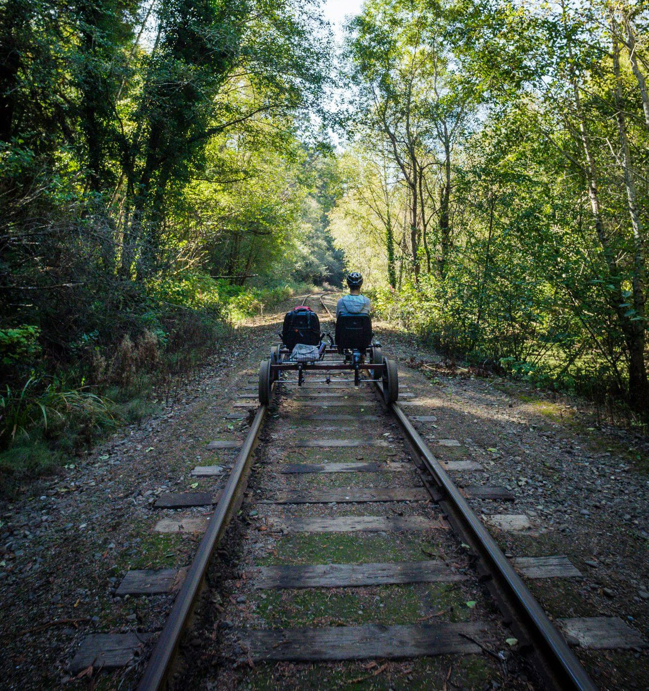 Rail Bikes Let You Pedal Through The Redwood Forest In California - Electric Railroad bicycles tour redwoods