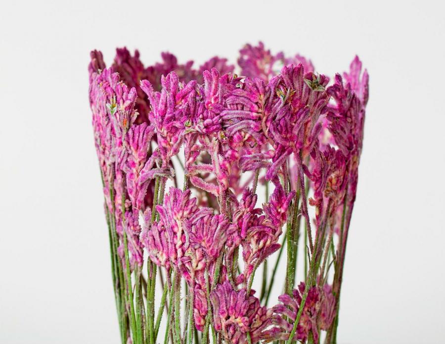 Unique Flower Vases Made From Dried Flowers By Shannon Clegg