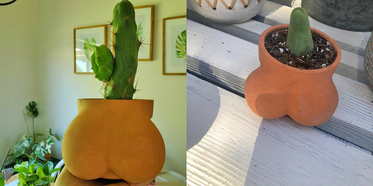 Balls Shaped Planter - TERRACOCK'n'BALLS planter