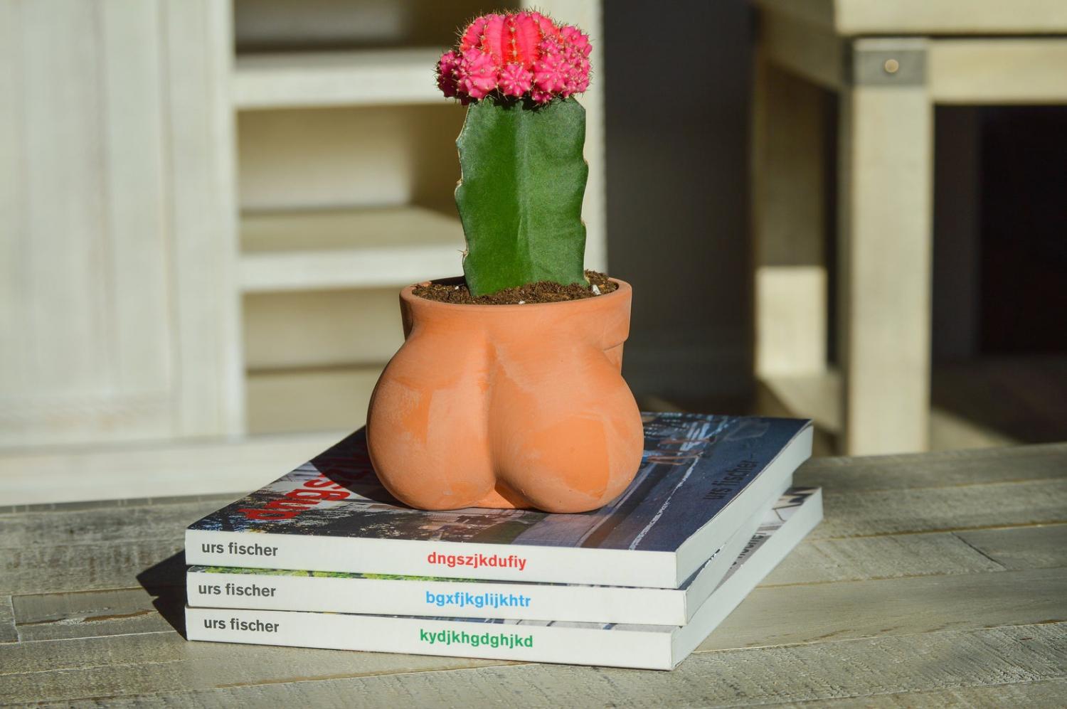 Balls Shaped Planter - TERRACOCK'n'BALLS planter