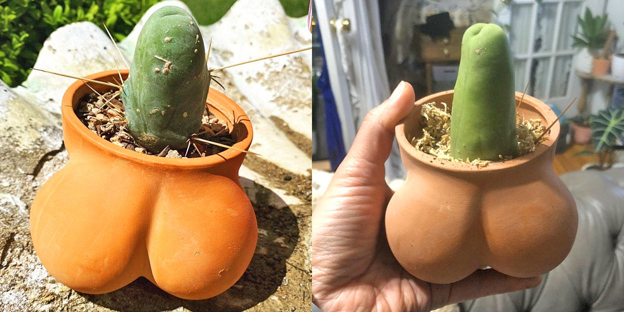 Balls Shaped Planter - TERRACOCK'n'BALLS planter