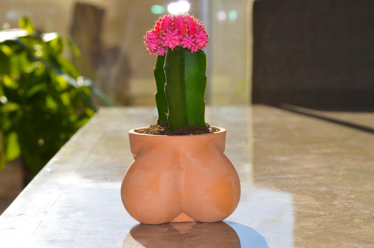 Balls Shaped Planter - TERRACOCK'n'BALLS planter