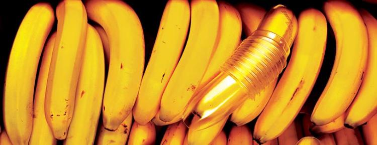 Banana Bunker - Banana Protection Container