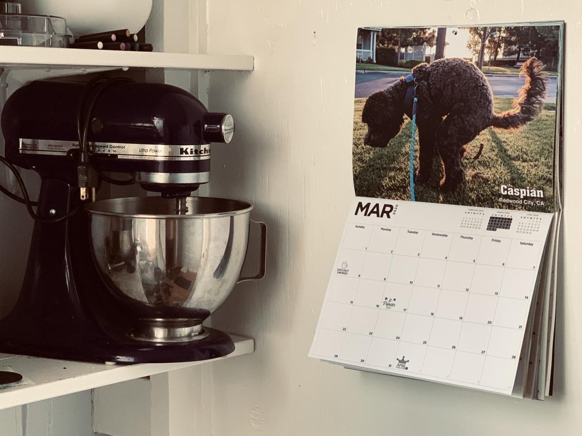 Funny pooping dogs calendar - 2020 pooping pooches calendar white elephant gift idea