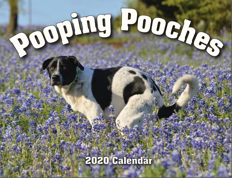 Funny pooping dogs calendar - 2020 pooping pooches calendar white elephant gift idea