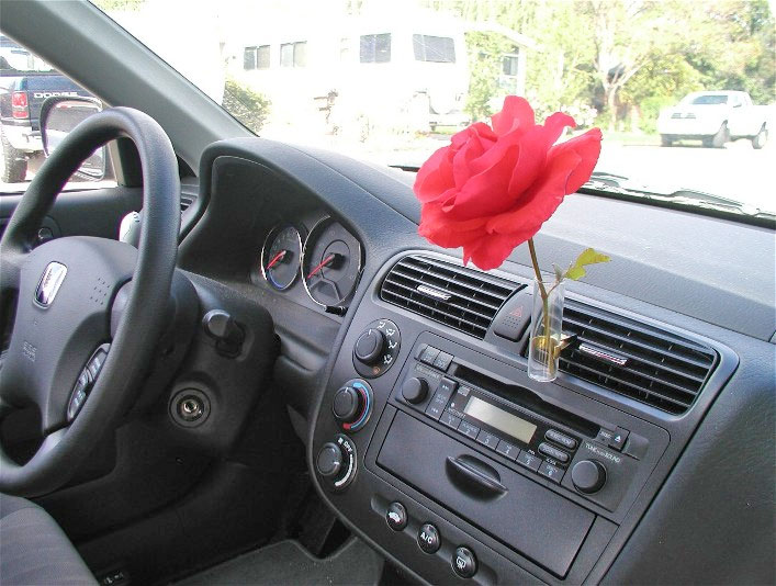 Auto Vase - Flower Vase For Your Car