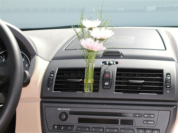 Auto Vase - Flower Vase For Your Car