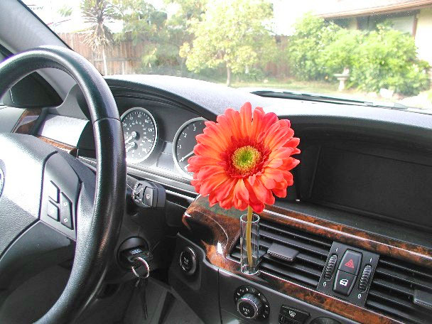 Auto Vase - Flower Vase For Your Car