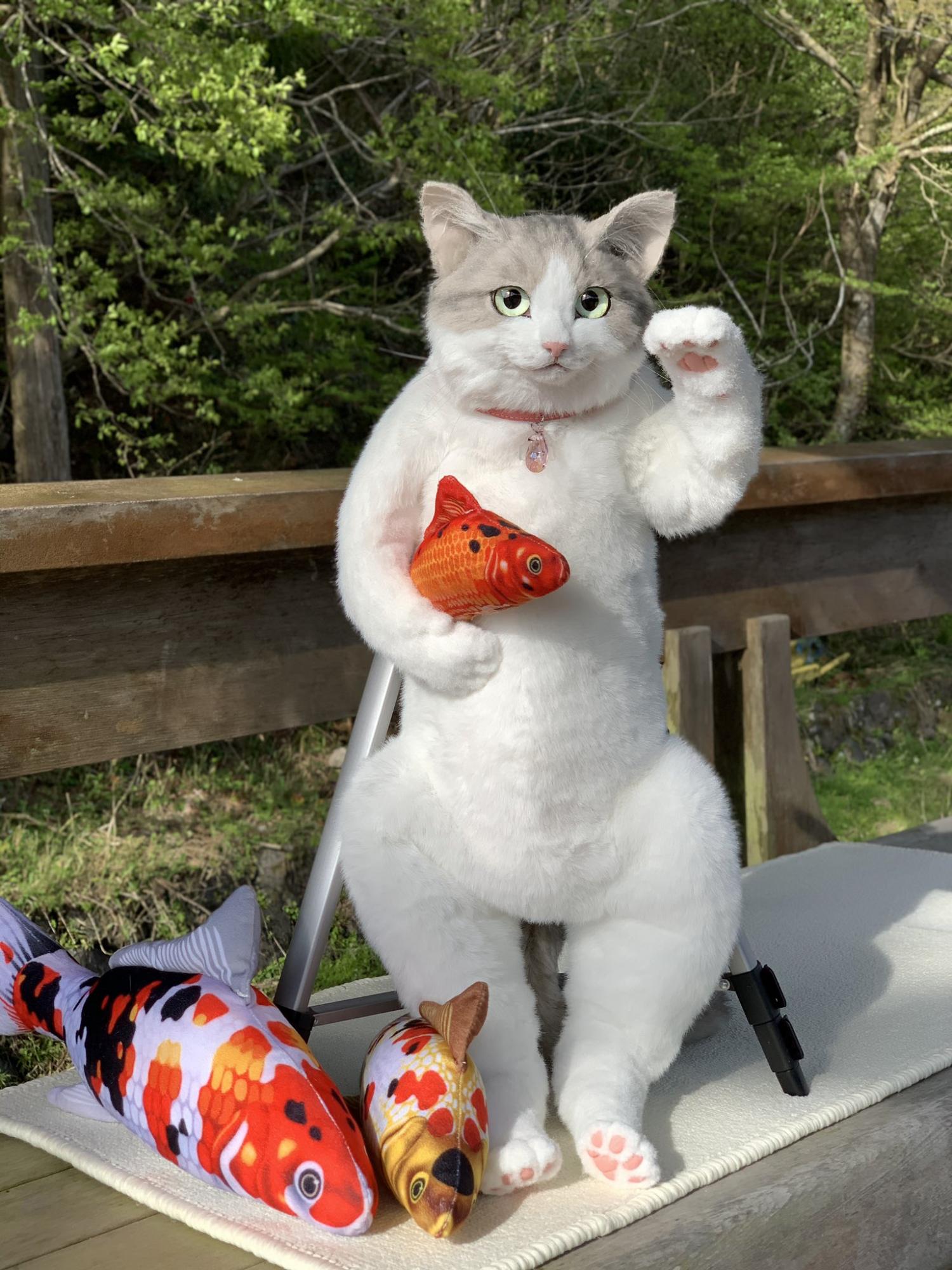 Realistic Cat Backpack looks like real live cat