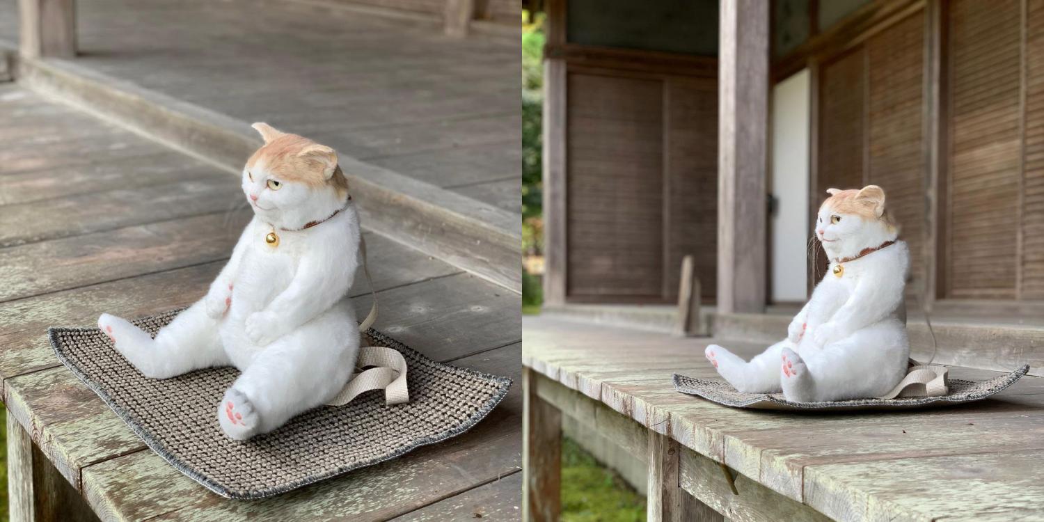 Realistic Cat Backpack looks like real live cat