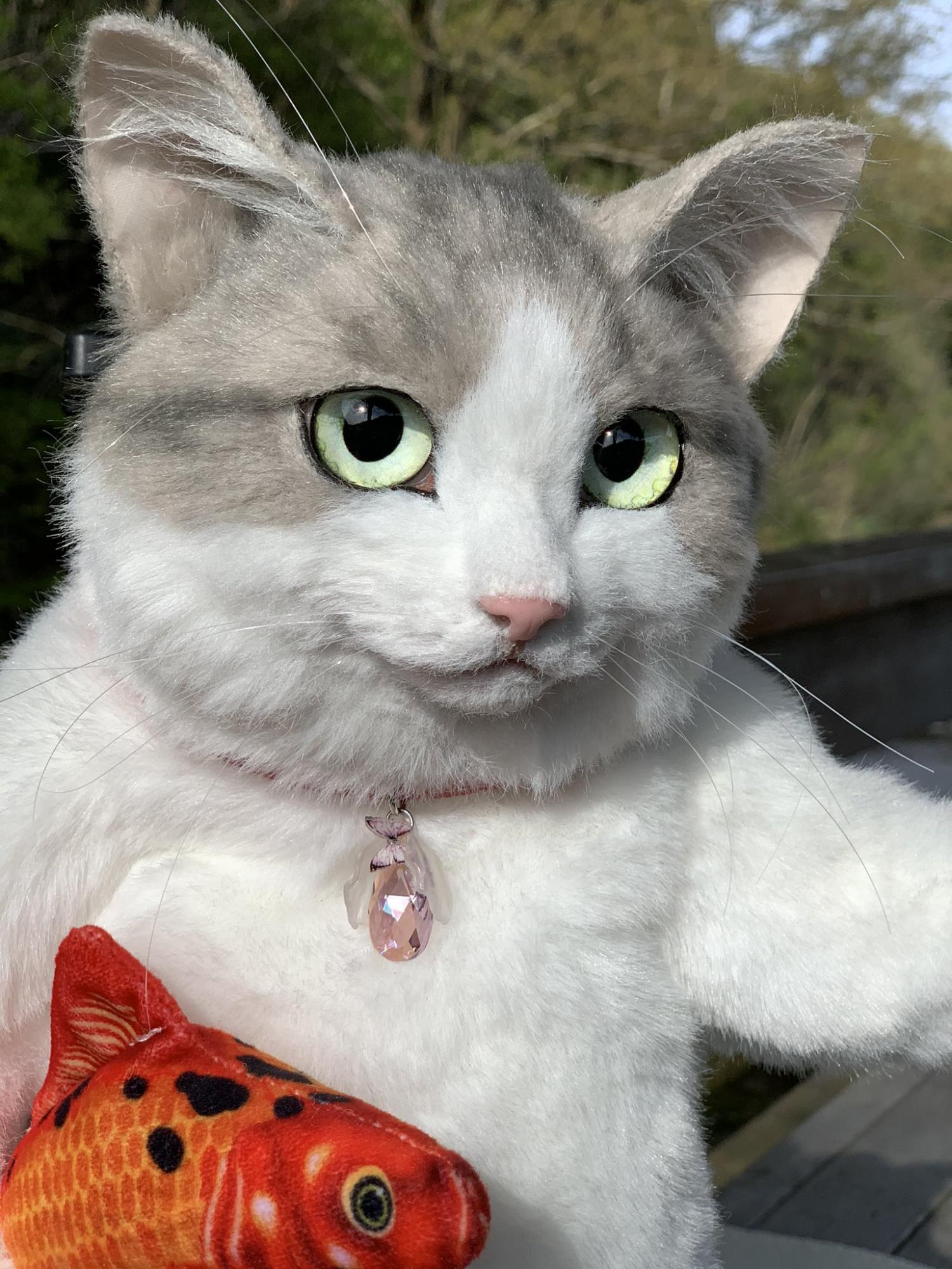 Realistic Cat Backpack looks like real live cat