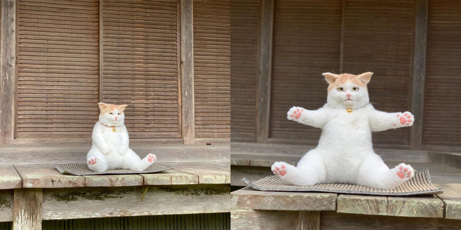 Realistic Cat Backpack looks like real live cat