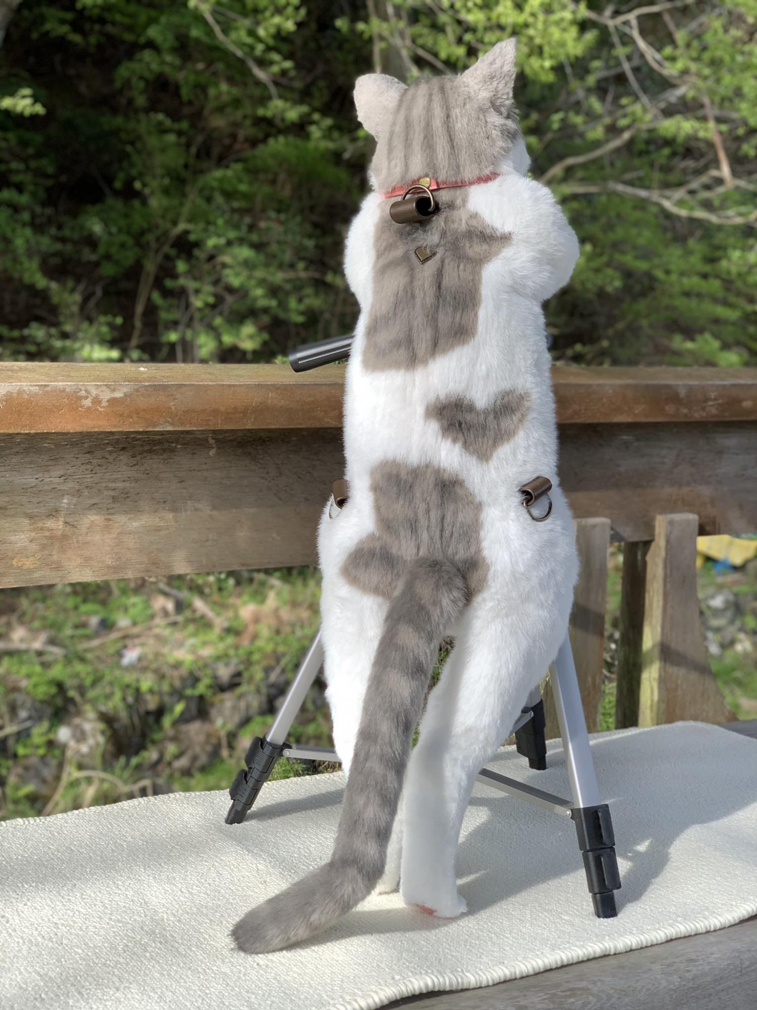 Realistic Cat Backpack looks like real live cat