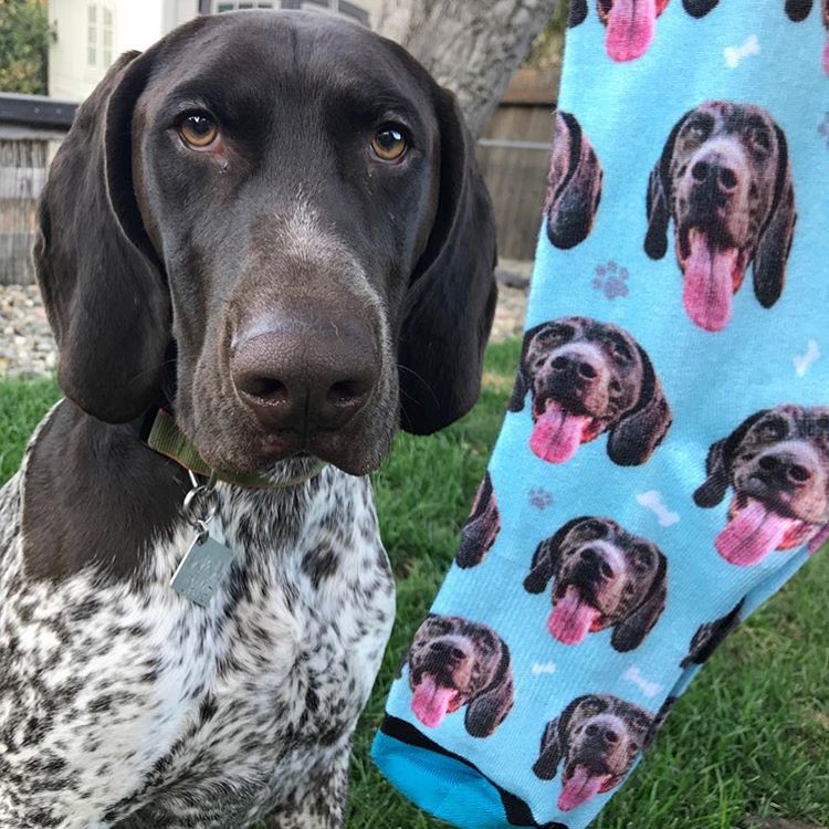 DivvyUp Custom Pet Face Dress Socks - Upload picture of cat or dog printed on dress socks