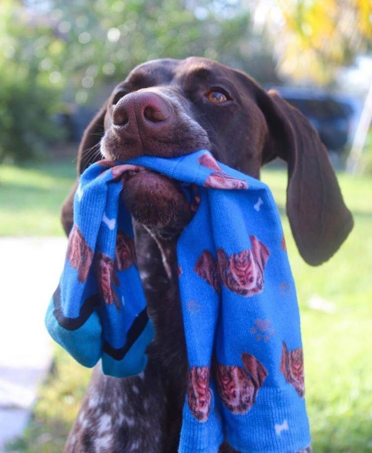 DivvyUp Custom Pet Face Dress Socks - Upload picture of cat or dog printed on dress socks