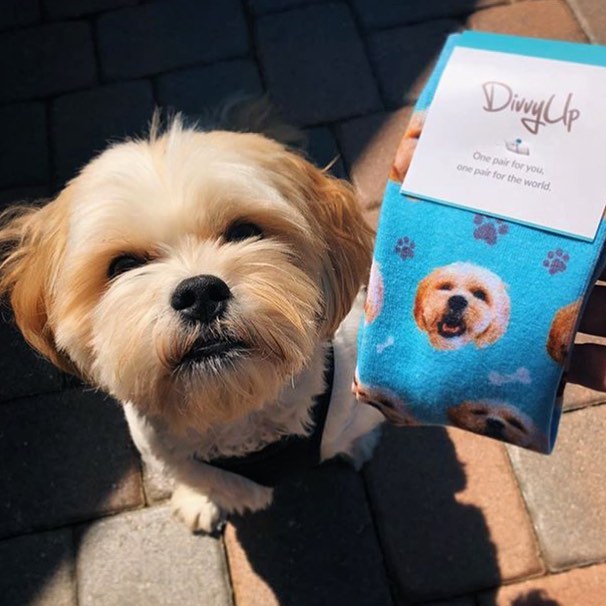 DivvyUp Custom Pet Face Dress Socks - Upload picture of cat or dog printed on dress socks