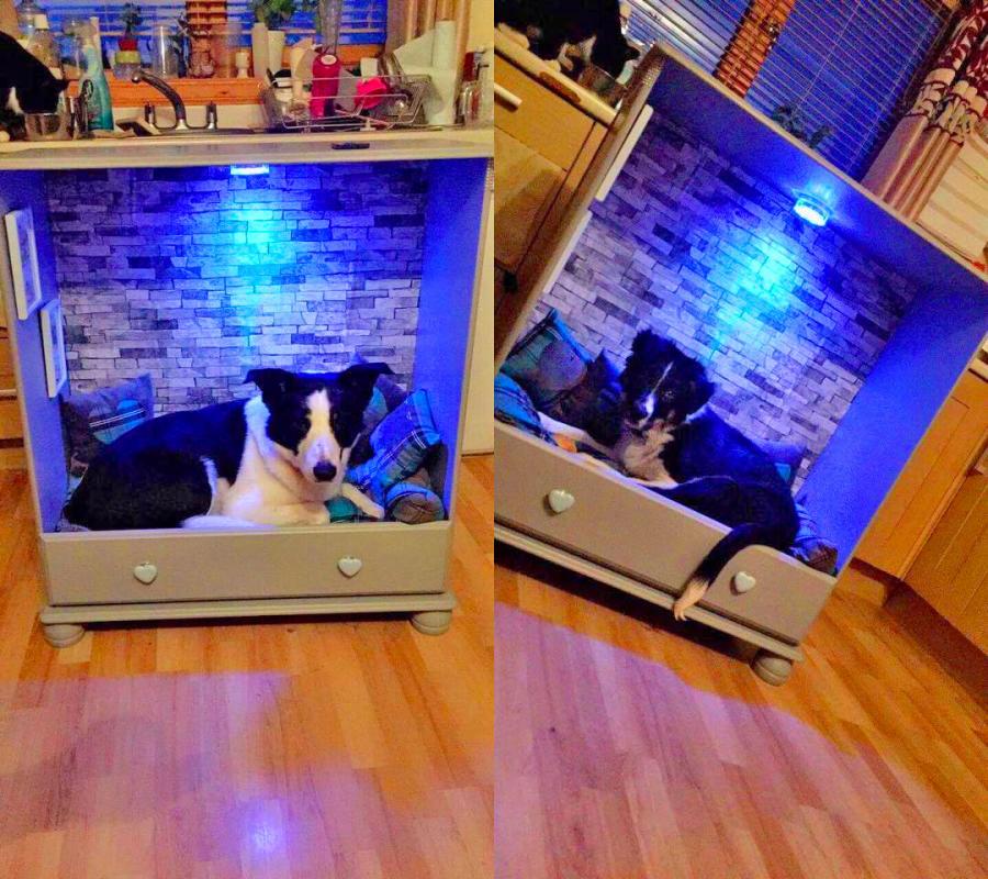Recycled Cabinet Dresser Dog Beds Sheltie Shacks