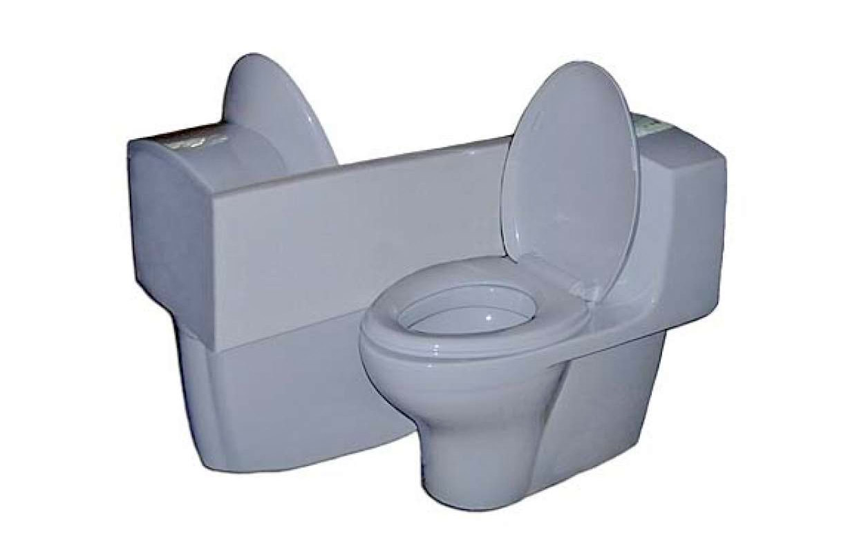 Double Toilet For Lovers Lets Couples Poo At The Same Time - Twodaloo Dual-person toilet