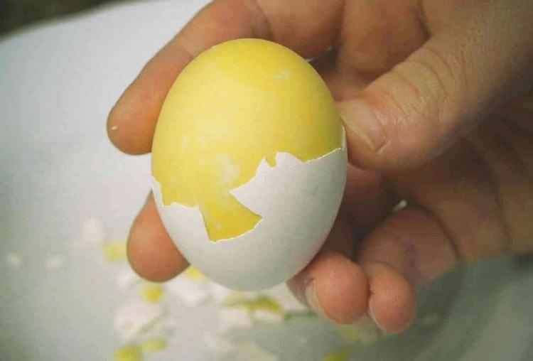 Golden Goose Egg Spinner - In Shell Egg Scrambler