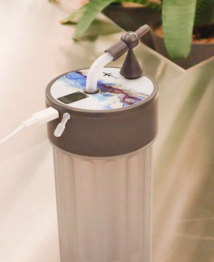 Electric Straw Bottle