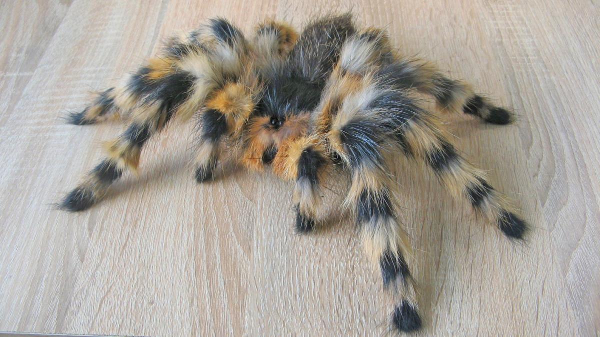 Fake Spider