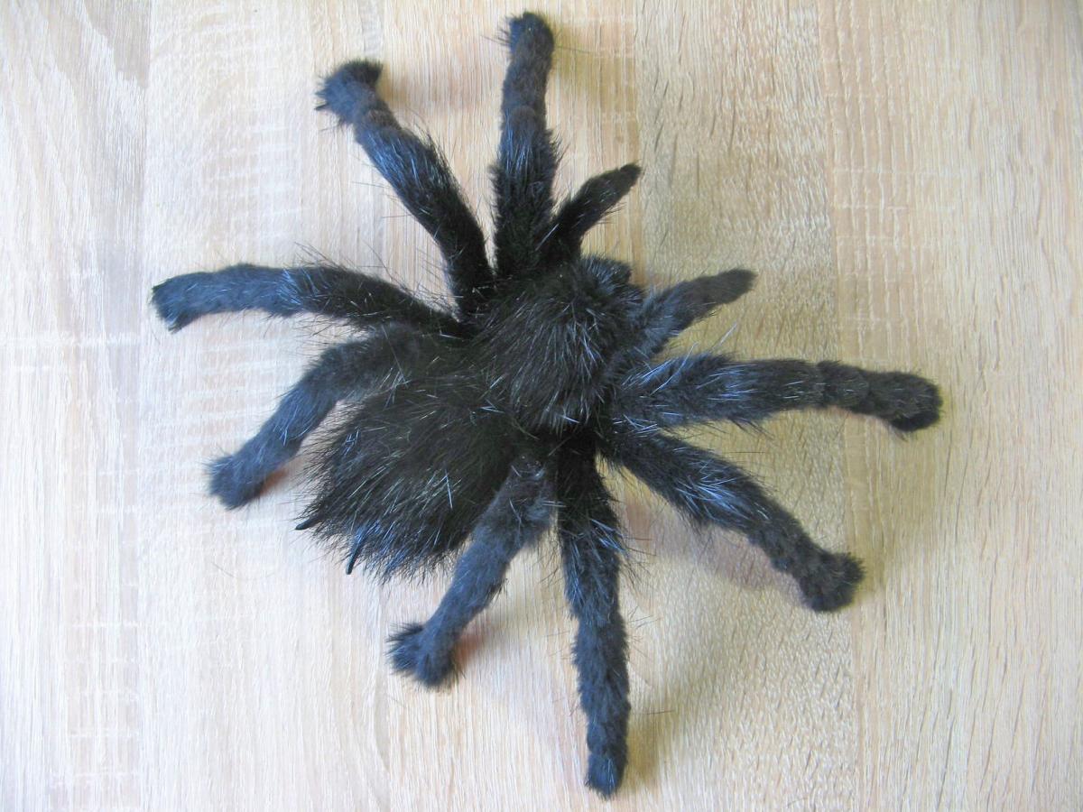 Fake Spider