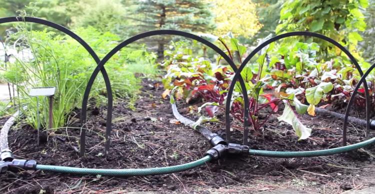 Snip-N-Drip Garden Hose