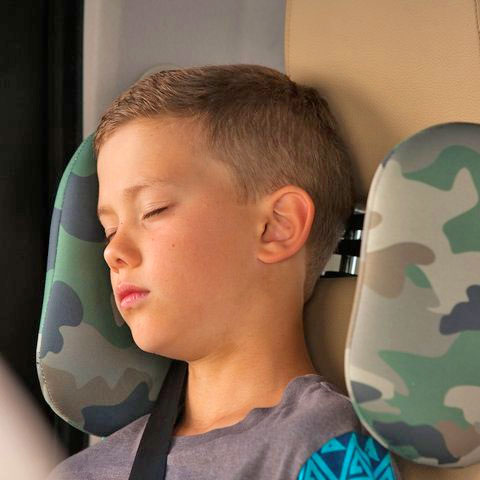 Car Headrest