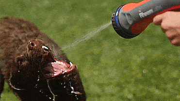 Rheem Labs HotWave heated garden hose sprayer - Endless hot water from garden hose