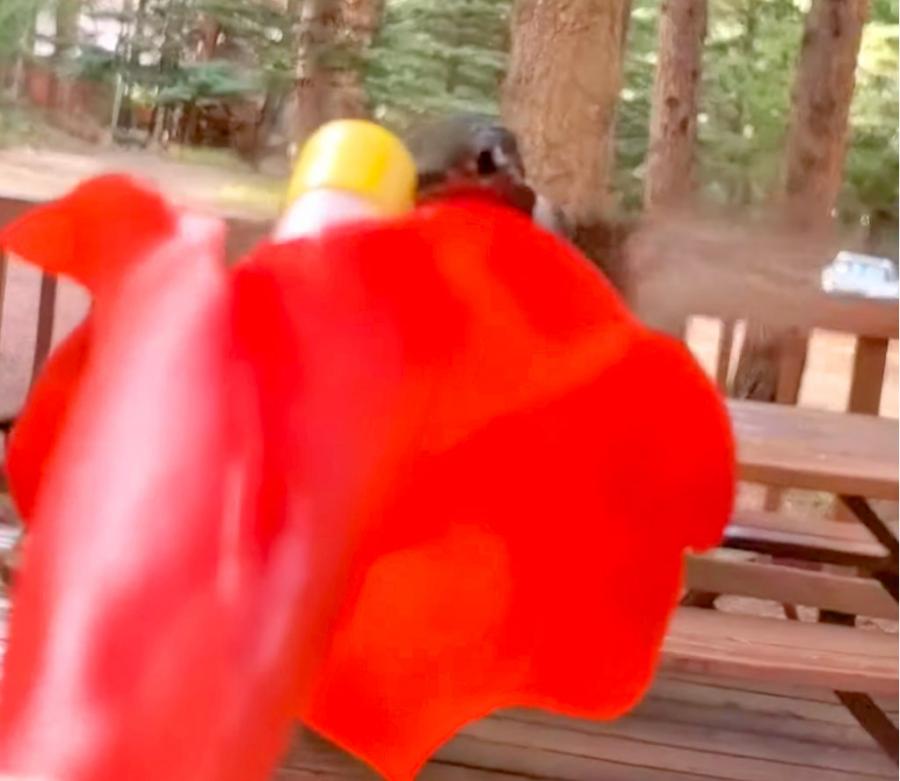 Hummviewer Hummingbird Feeder Face Shield Mask