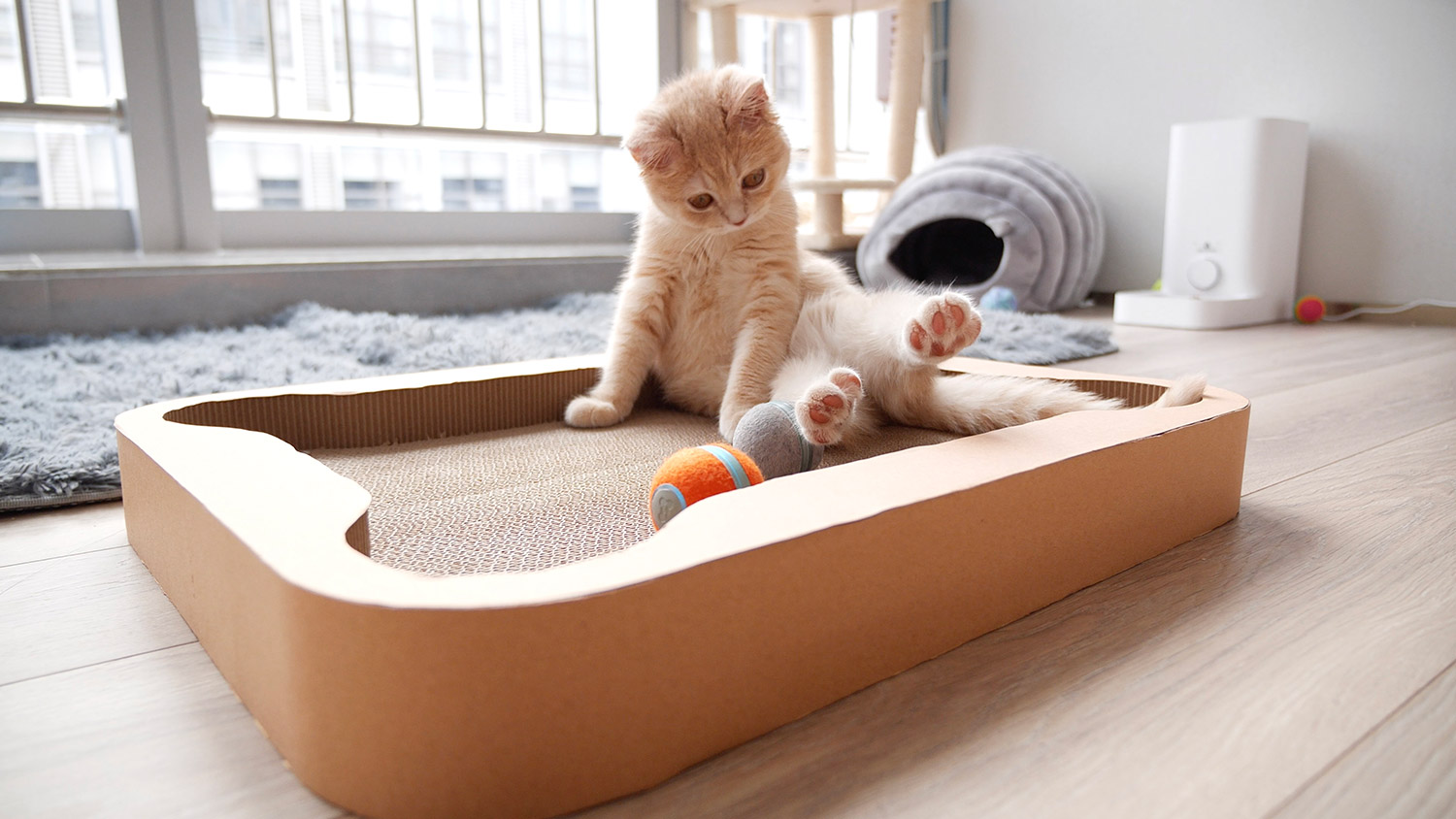 Cheerble Cat Board Game - Interactive Cat Board Game Has a Robotic Ball That Will Keep Them Busy For Hours