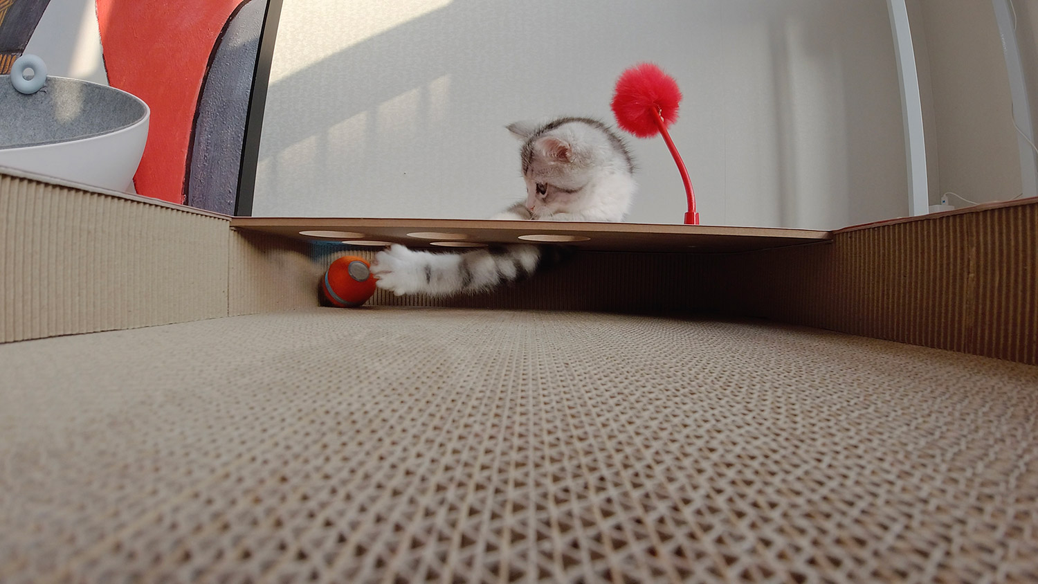Cheerble Cat Board Game - Interactive Cat Board Game Has a Robotic Ball That Will Keep Them Busy For Hours