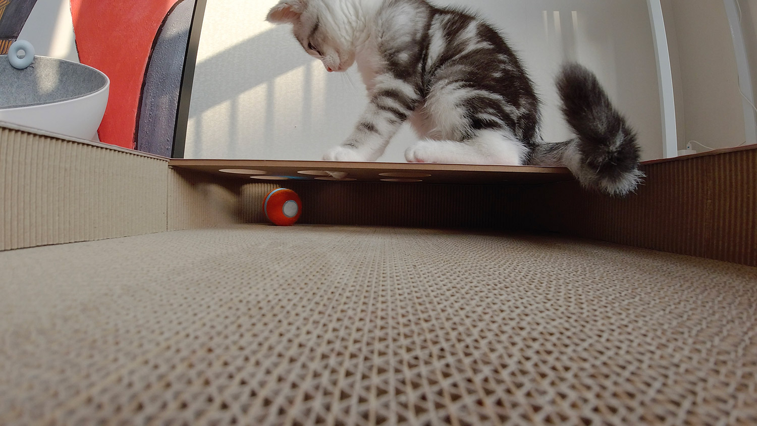 Cheerble Cat Board Game - Interactive Cat Board Game Has a Robotic Ball That Will Keep Them Busy For Hours
