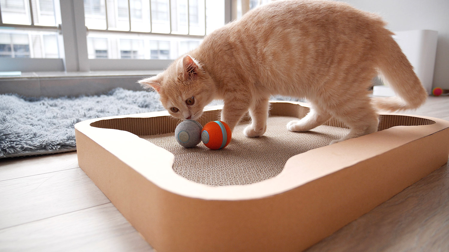 Cheerble Cat Board Game - Interactive Cat Board Game Has a Robotic Ball That Will Keep Them Busy For Hours