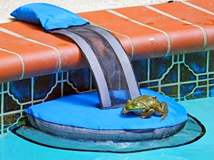 FrogLog Mini Pool Ramp - Frog Log Small critter animals pool ramp helps them to safety