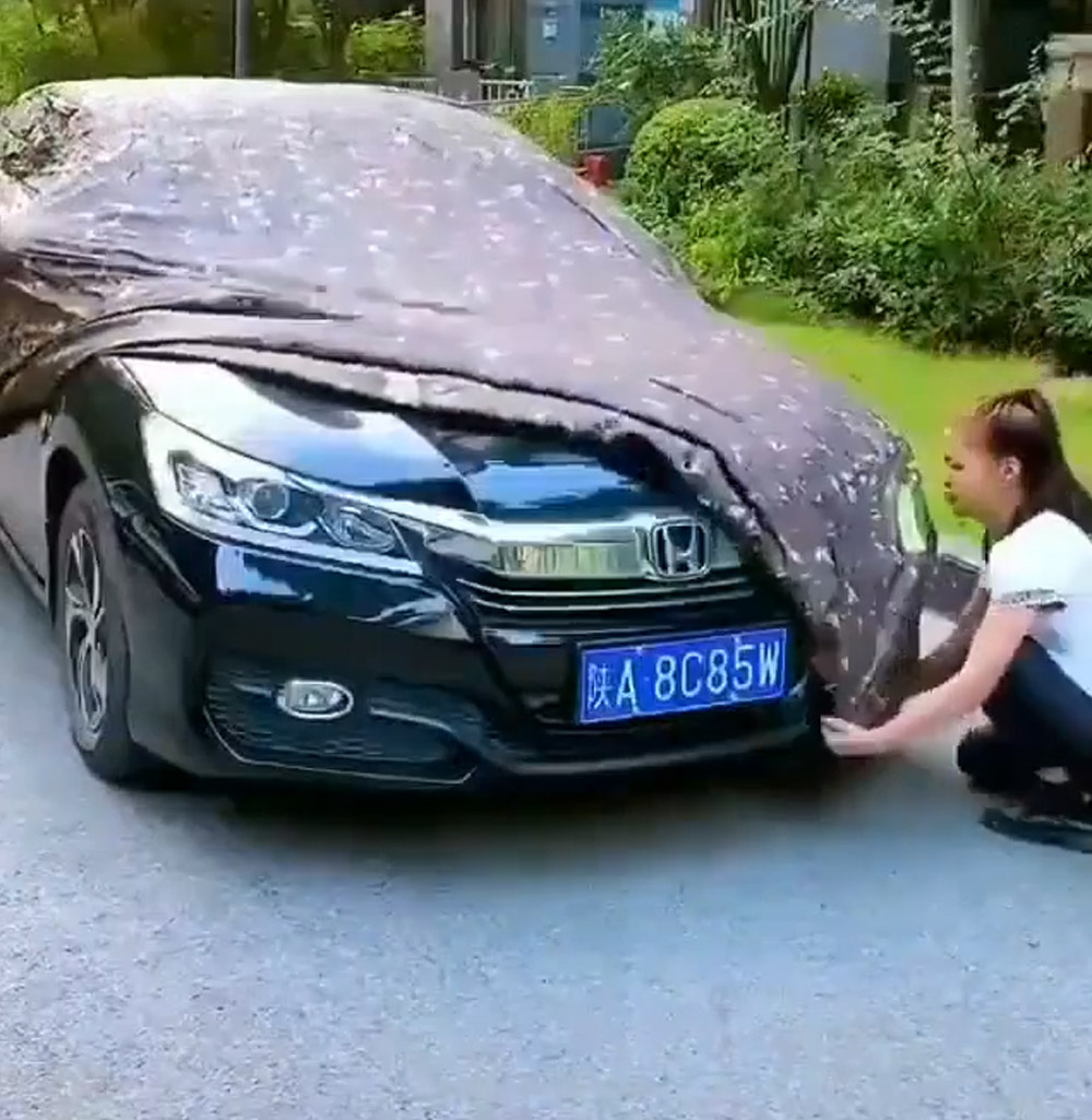 Automatic Smart Car Cover