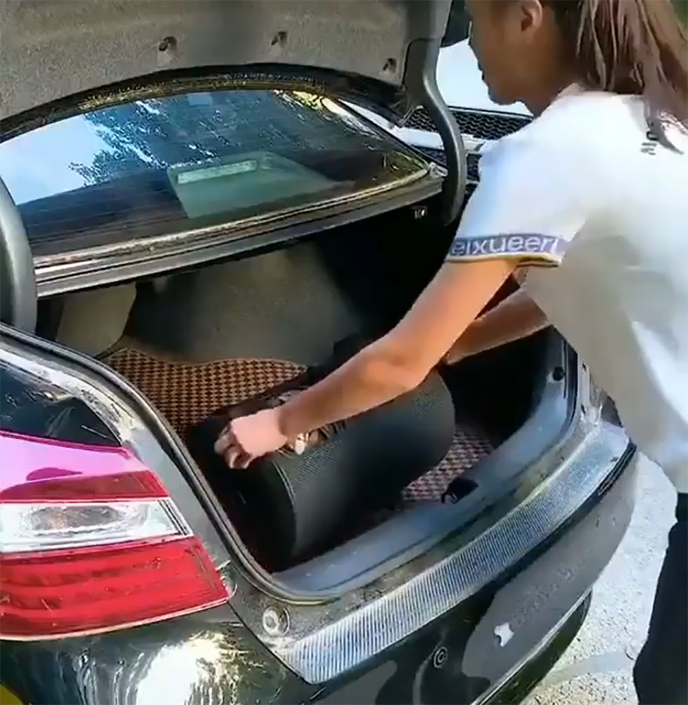 Automatic Smart Car Cover
