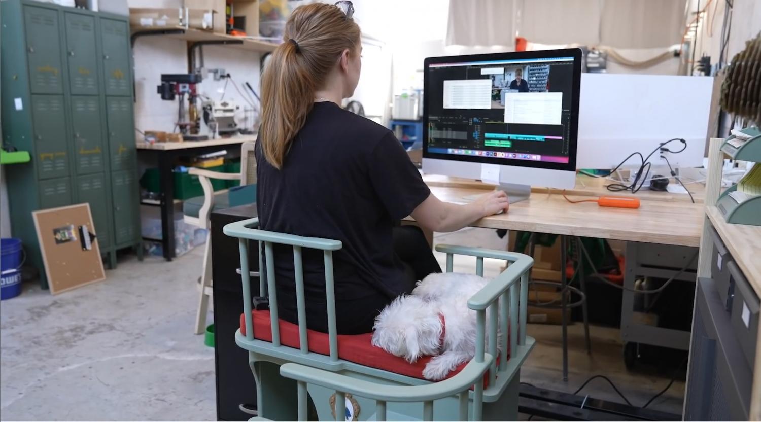 Office Chair Has Extra Room To The Side For Your Cat or Dog