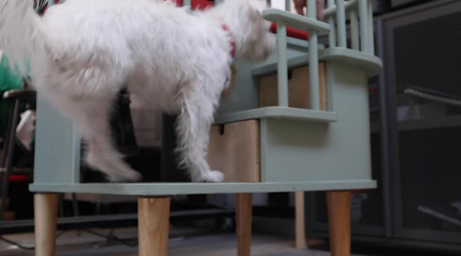 Office Chair Has Extra Room To The Side For Your Cat or Dog