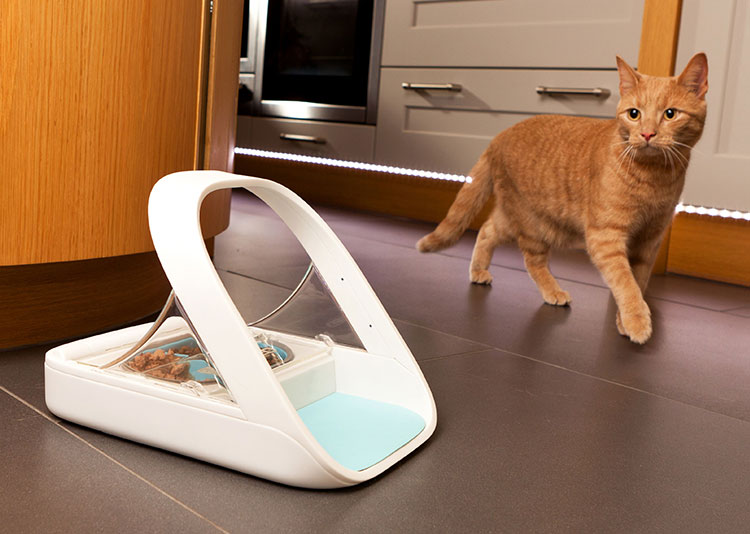 SureFeed Microchip Pet Feed Scanning Food Bowl