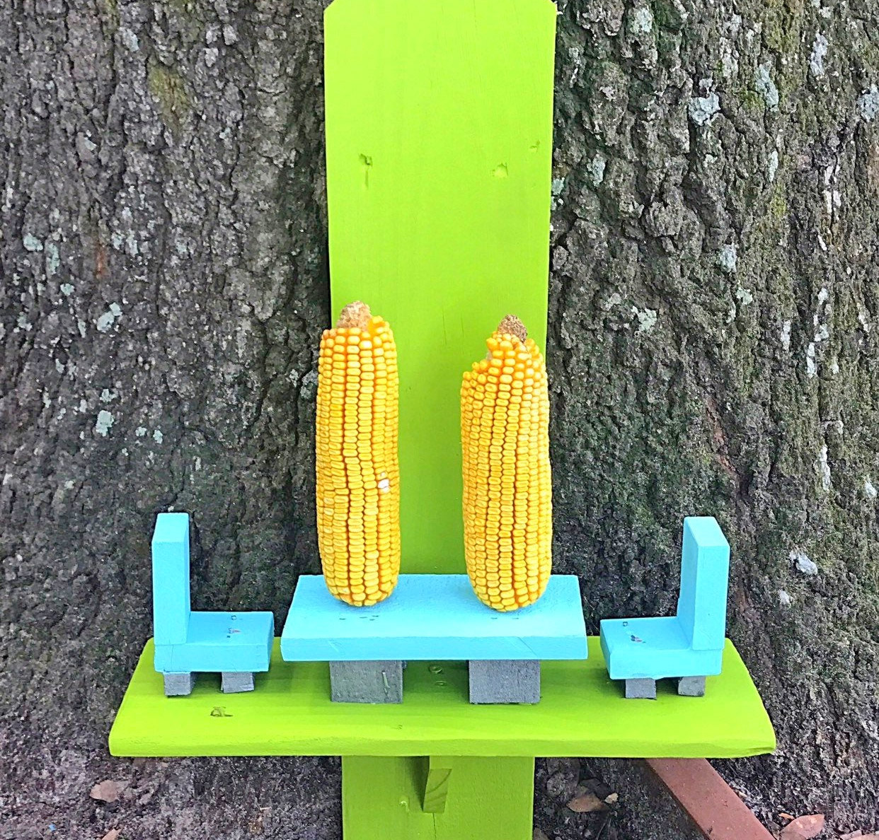 Picnic Table Squirrel Feeder