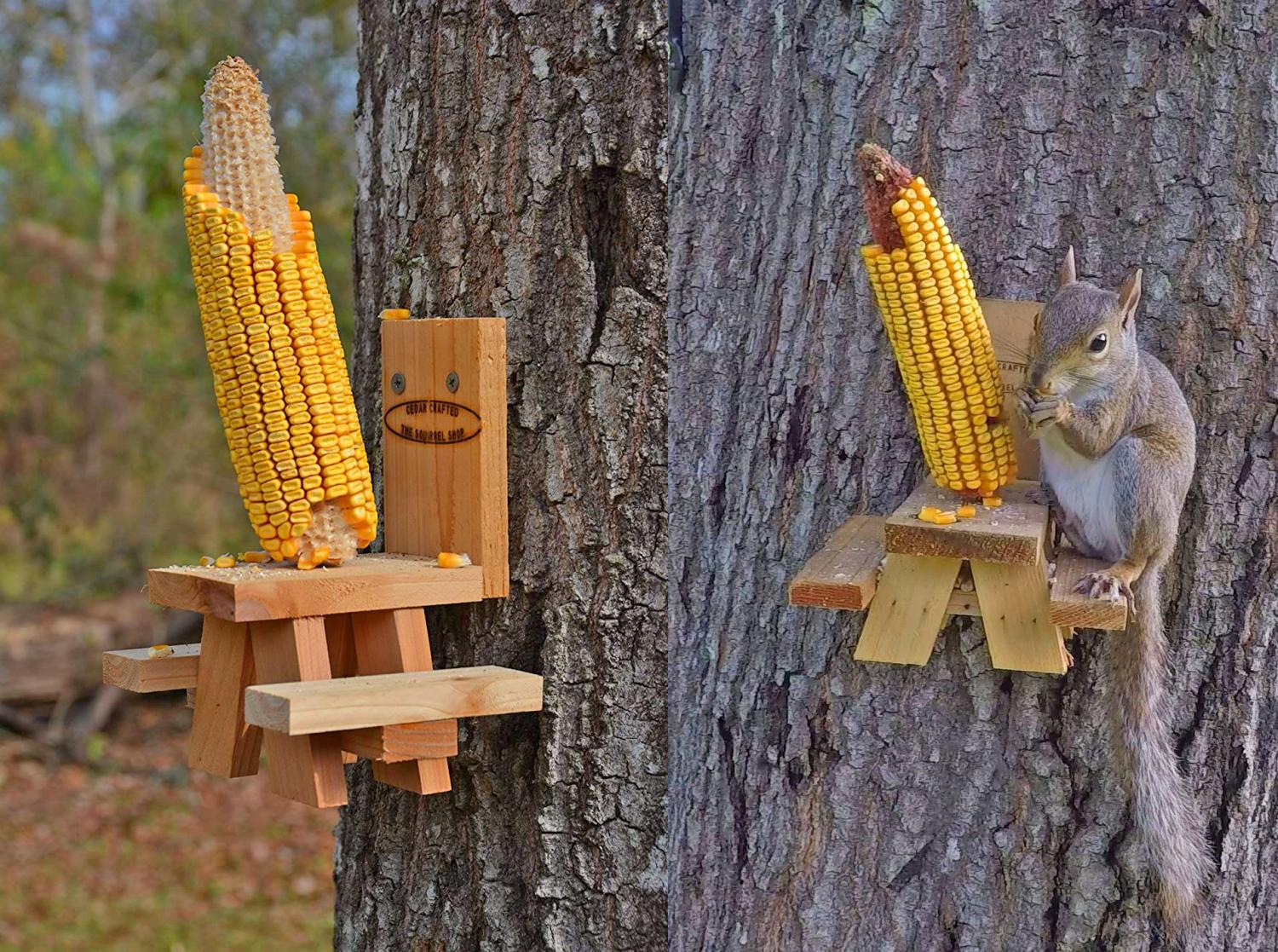 Picnic Table Squirrel Feeder