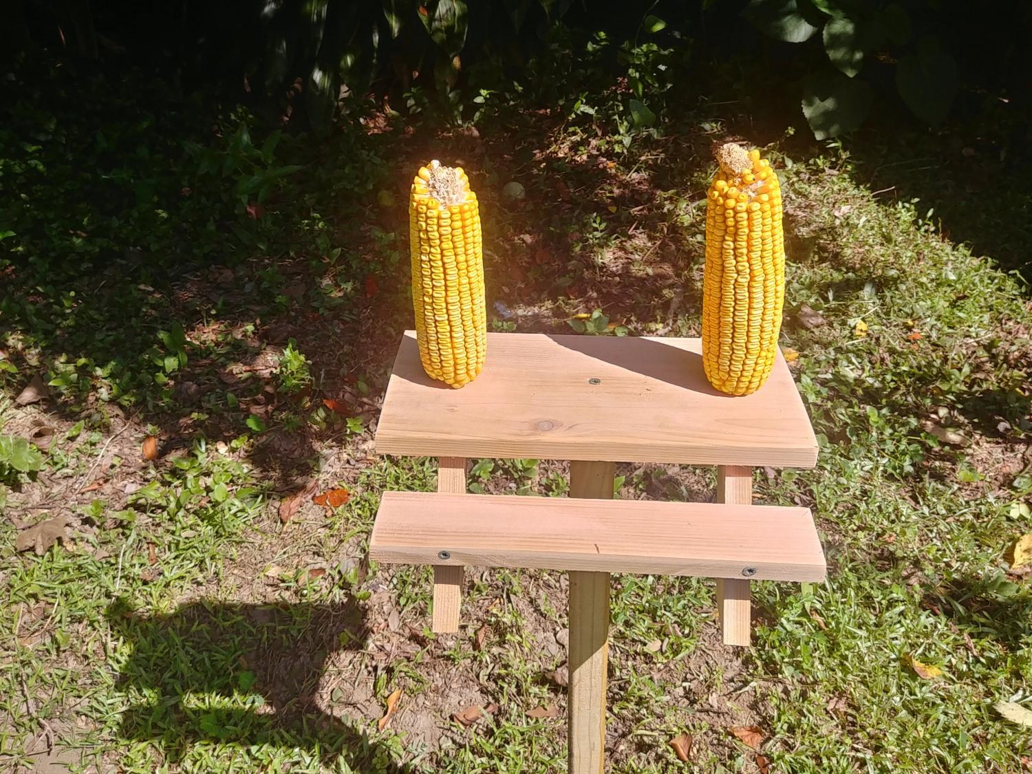 Picnic Table Squirrel Feeder