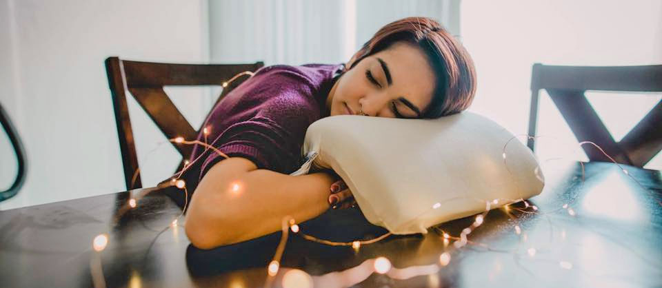 Coodle Spooning Cuddle Pillow