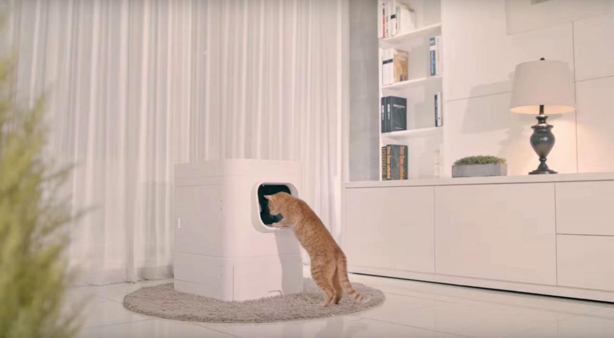 LavvieBot Smart Litter Box